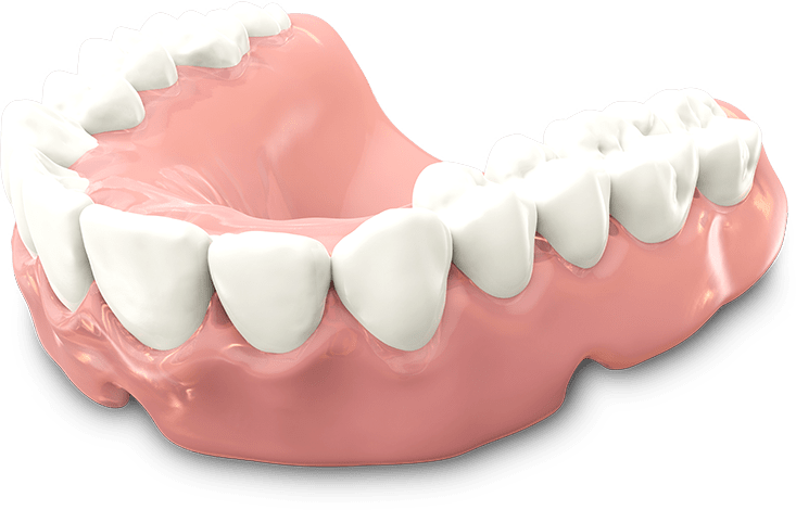 dentures model